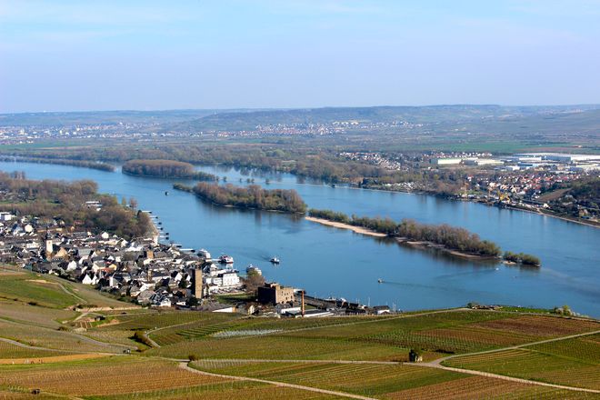 Blick vom Niederwalddenkmal auf den Rhein. Foto: djd/nicko-cruises.de